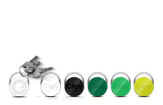 Clay access tags in different colours on a key ring.